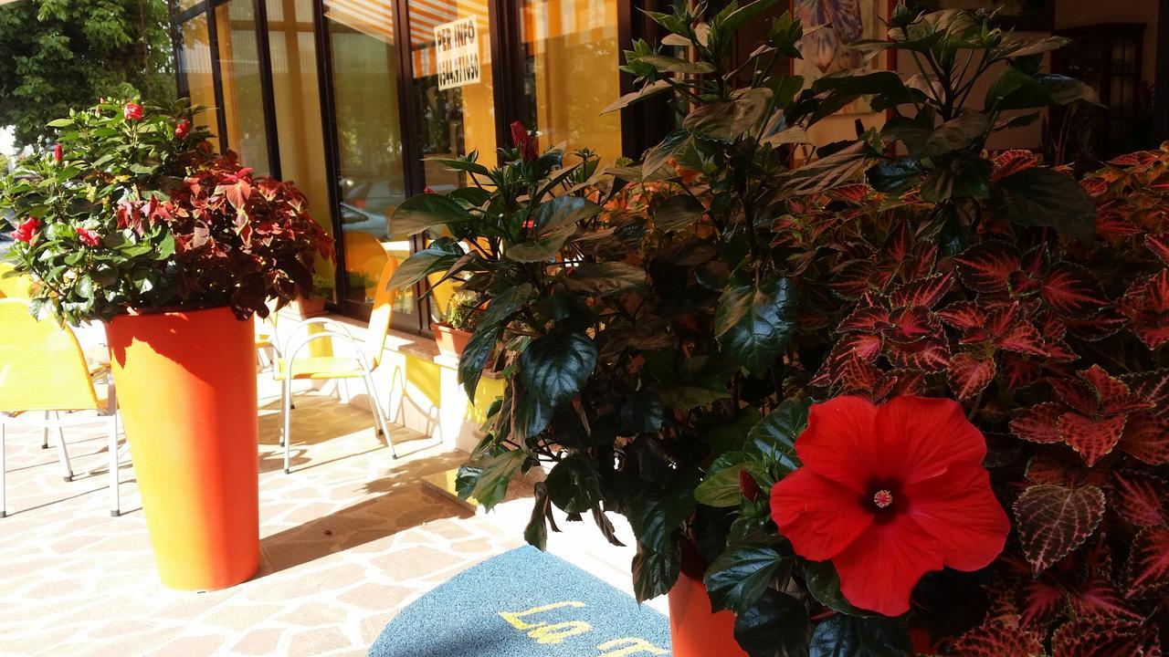 Hotel La Falena Cervia Buitenkant foto